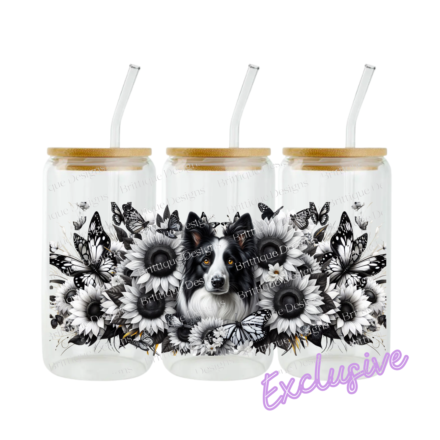 Border Collie | 16oz UV DTF Exclusive
