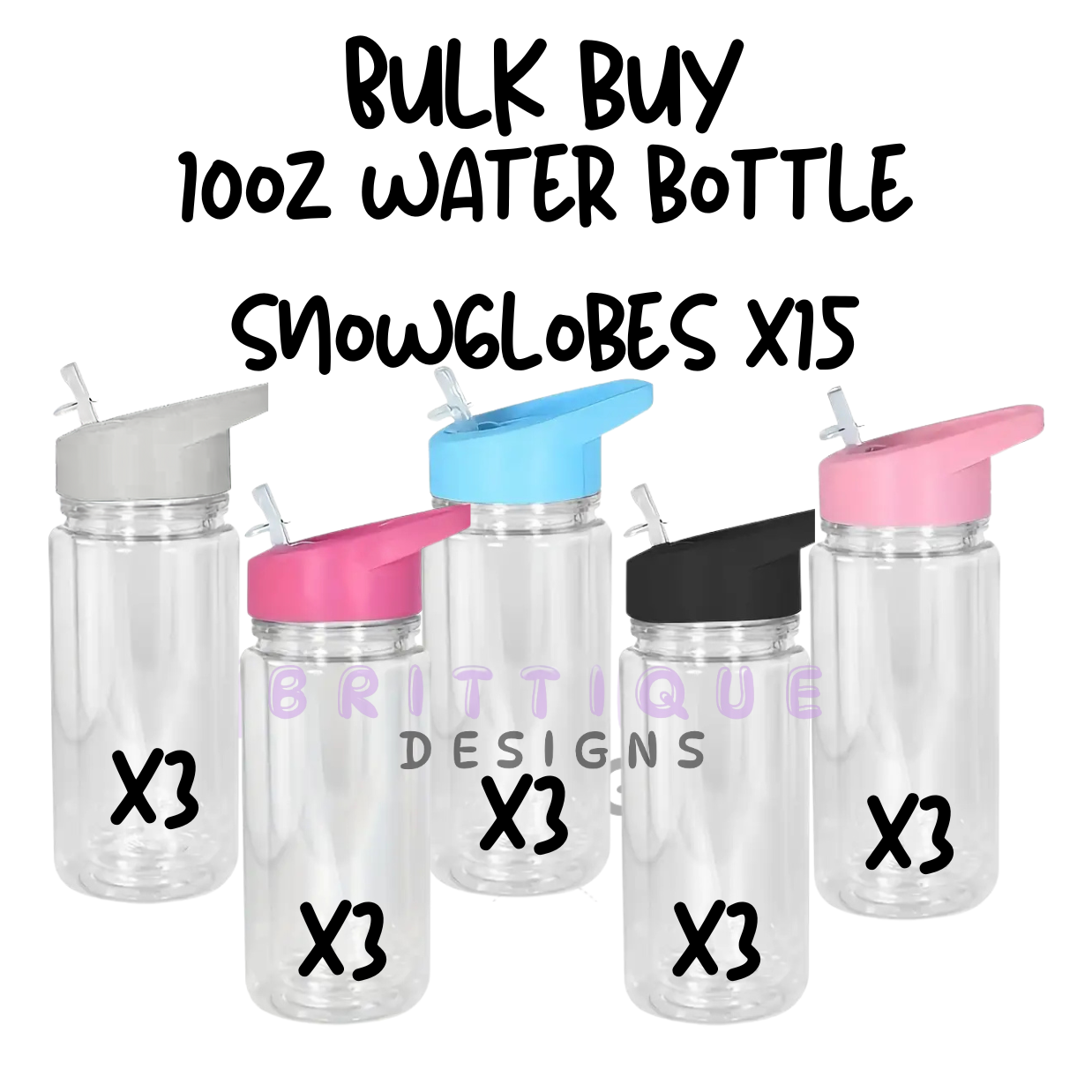 BULK BUY | 10oz Acrylic Snowglobe Water Bottle