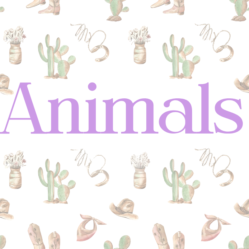 Animals