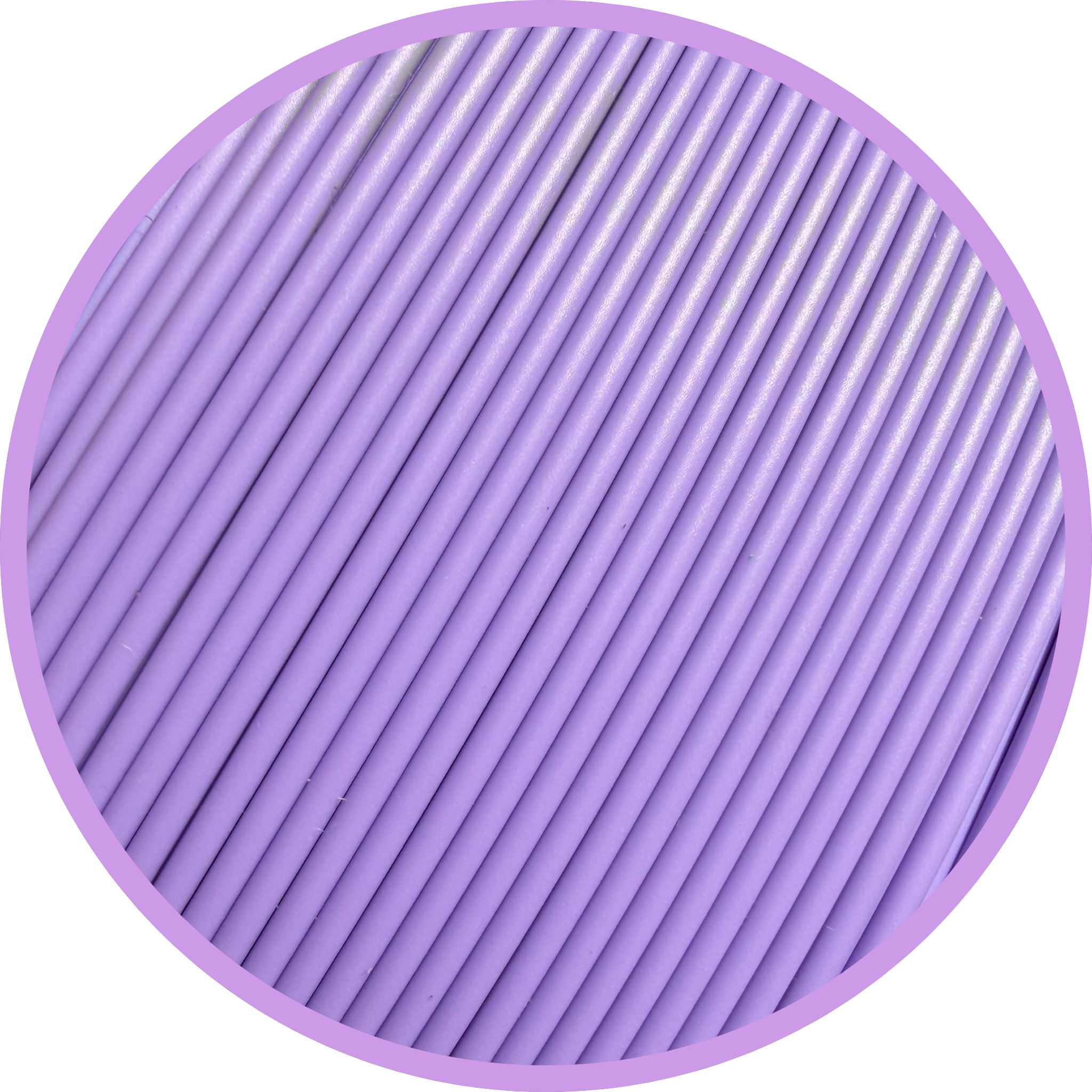 Lavender Purple