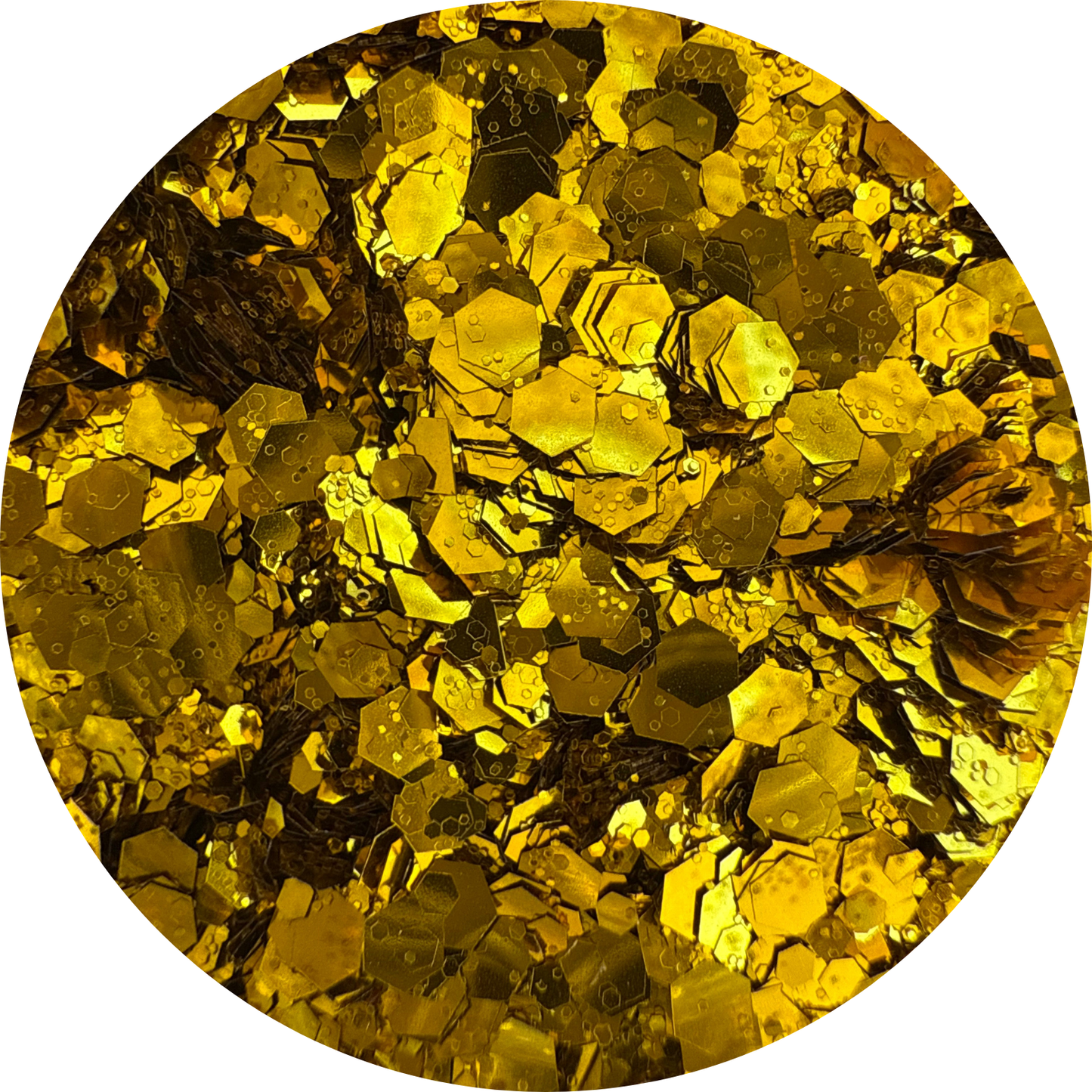 Gold Coin | Holographic | Chunky Glitter | 50g Shaker