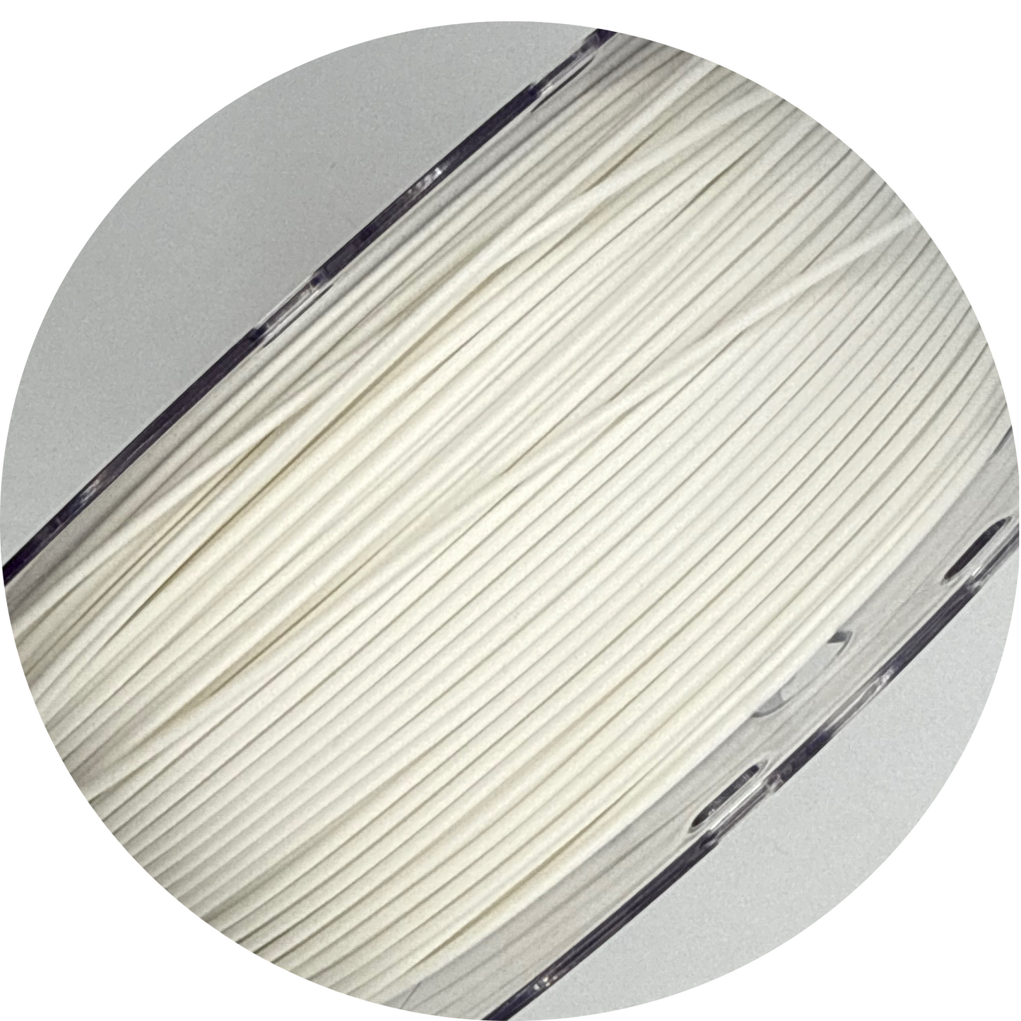 Cactus Trinket Tray