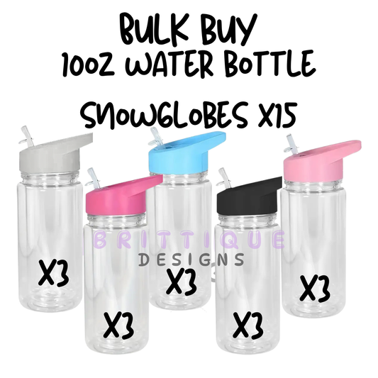 BULK BUY | 10oz Acrylic Snowglobe Water Bottle